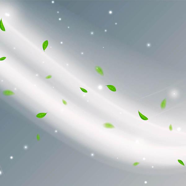 The Science of Airflow: How Precision Control Elevates Roast Consistency and Flavor Development