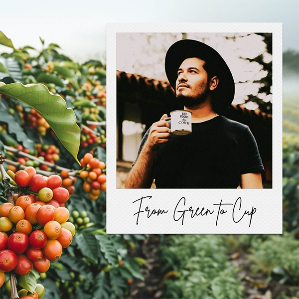 From Green to Cup: How All-Air Roasters Enhance the Full Coffee Development Process