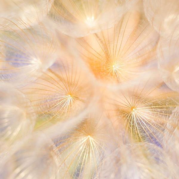 electric coffee roaster machine with digital control panel